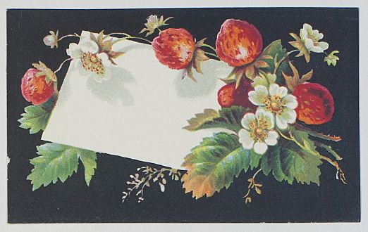 COLOURED-CARD-LABEL-55947-1.jpg