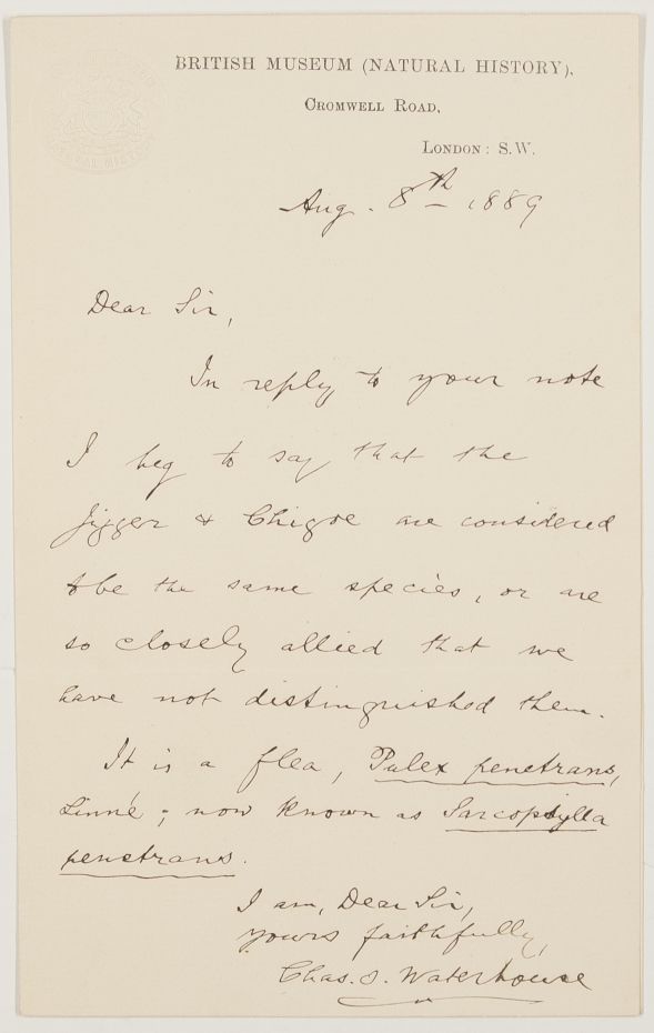 (Charles Owen, Entomologist, Assistant at the British Museum of Natural History) — Sophie Dupré Autographs