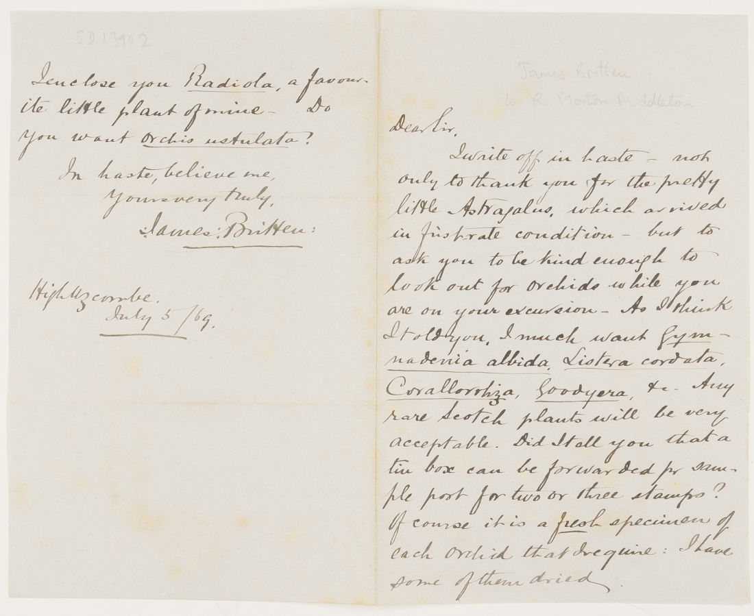 (Harold Hulme, F.S.A., 1865-1944, Zoologist and Antiquarian) — Sophie Dupré Autographs