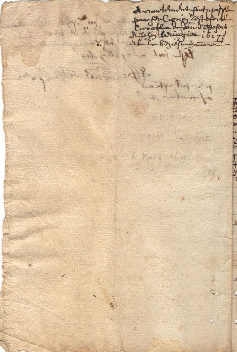 TESTEFORT image 3