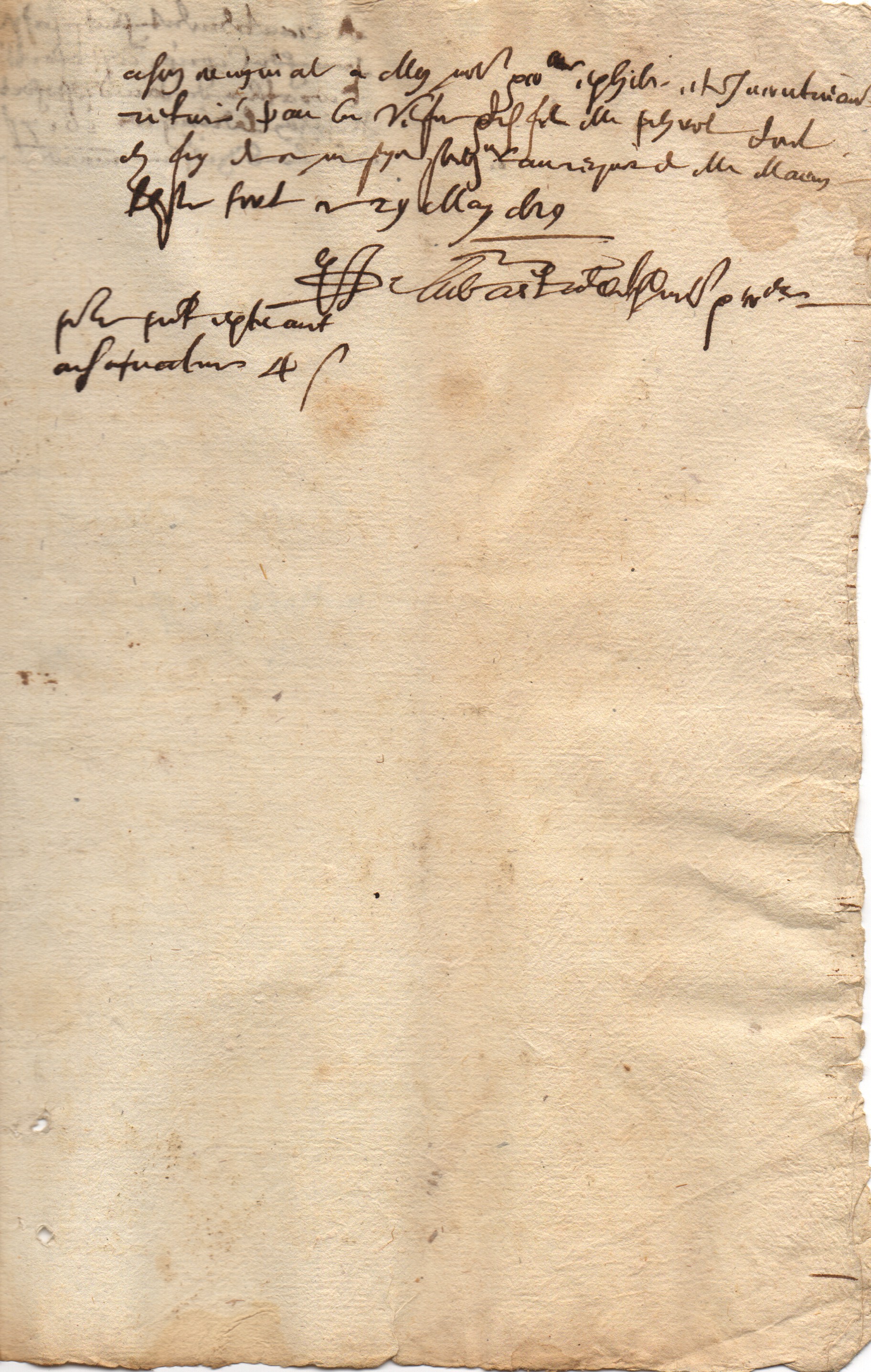 TESTEFORT image 4