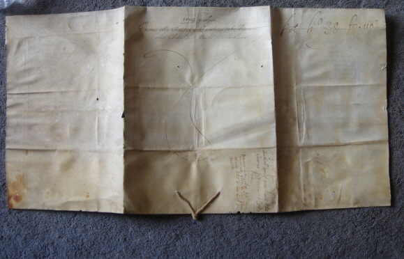 ARCELLA image 2