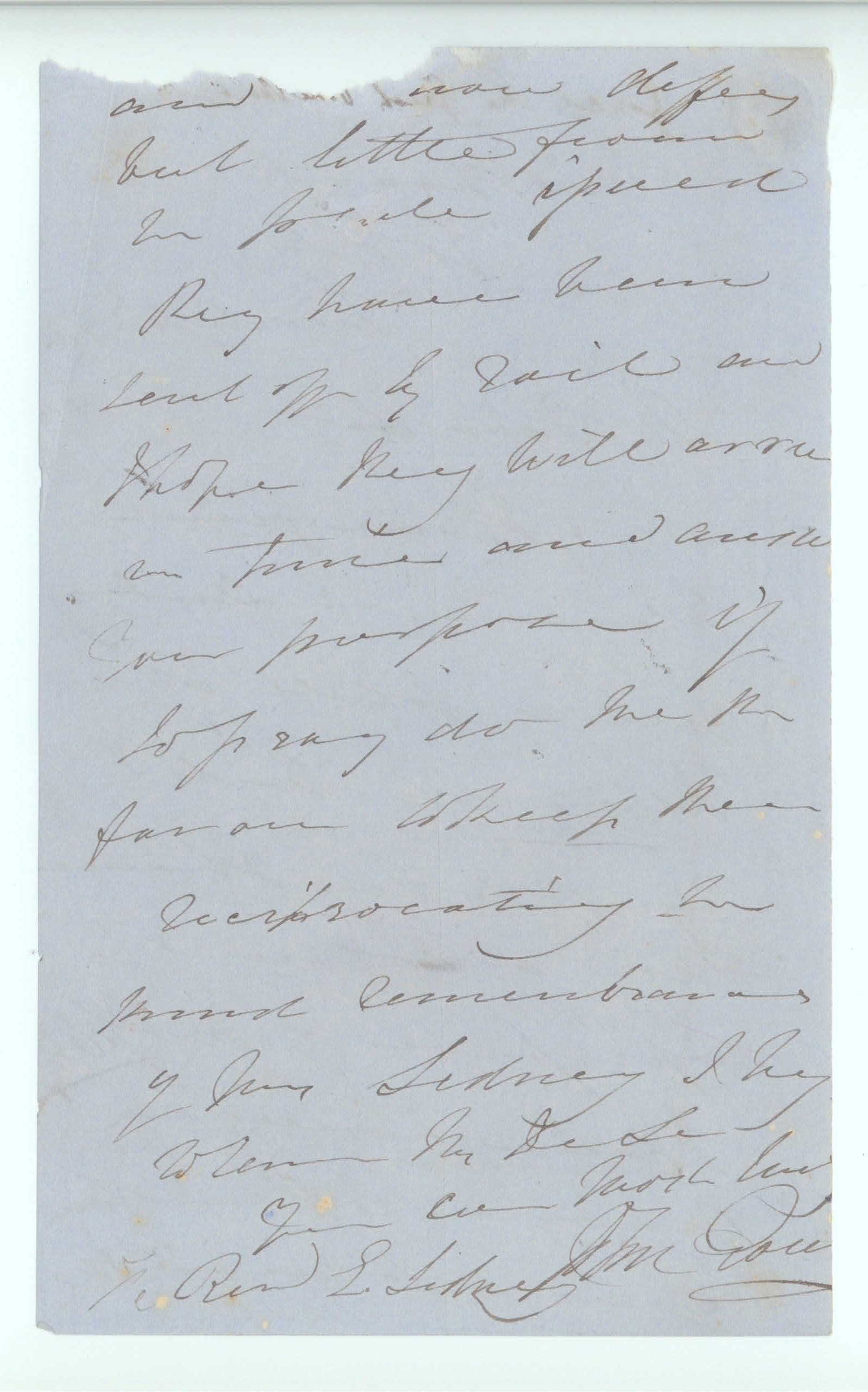 GOULD image 2