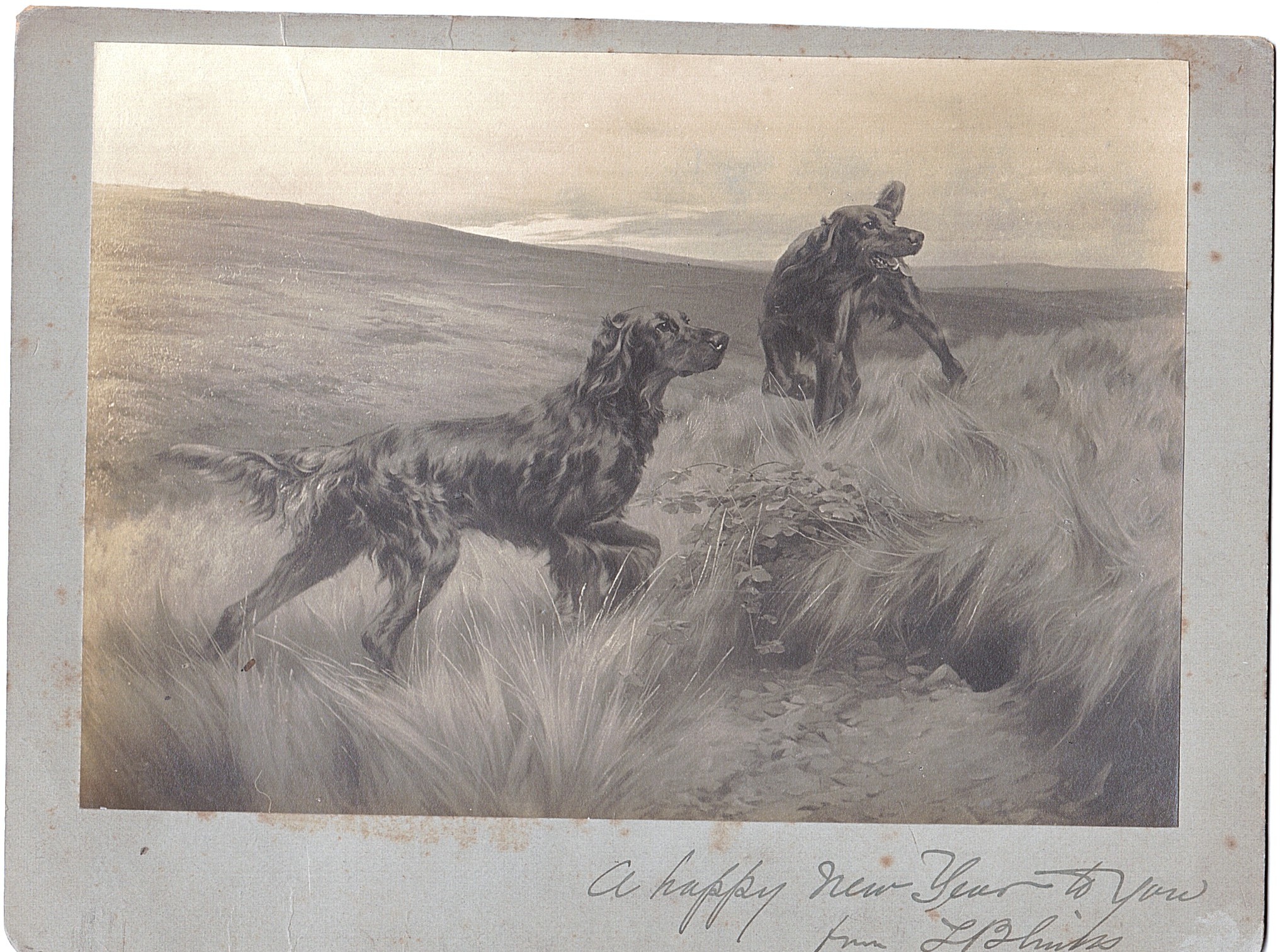 (Thomas, 1860-1912, Artist, specialising in sport and animals) — Sophie Dupré Autographs