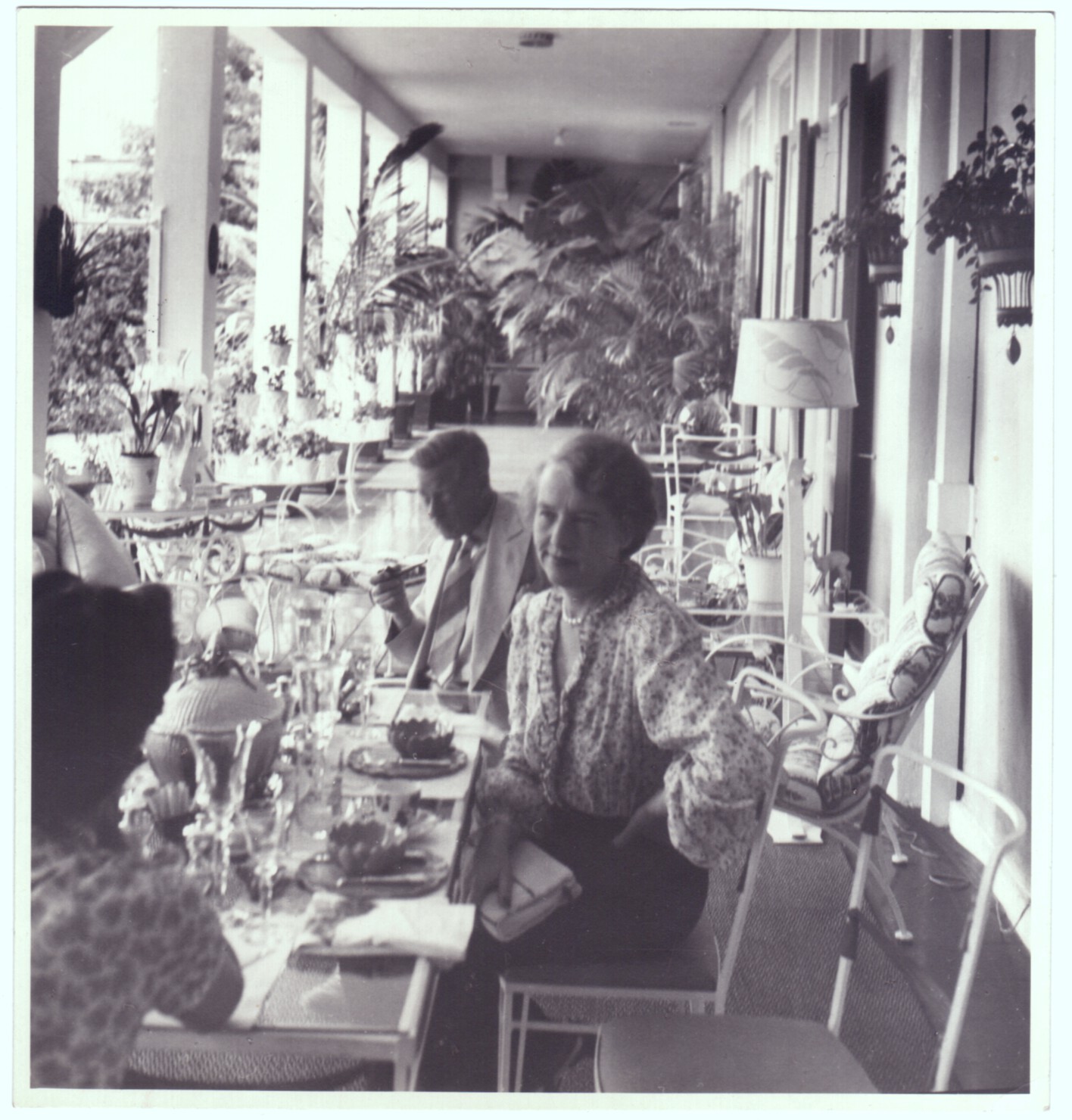 WINDSOR image 4