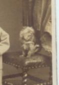 [LEOPOLD image 2
