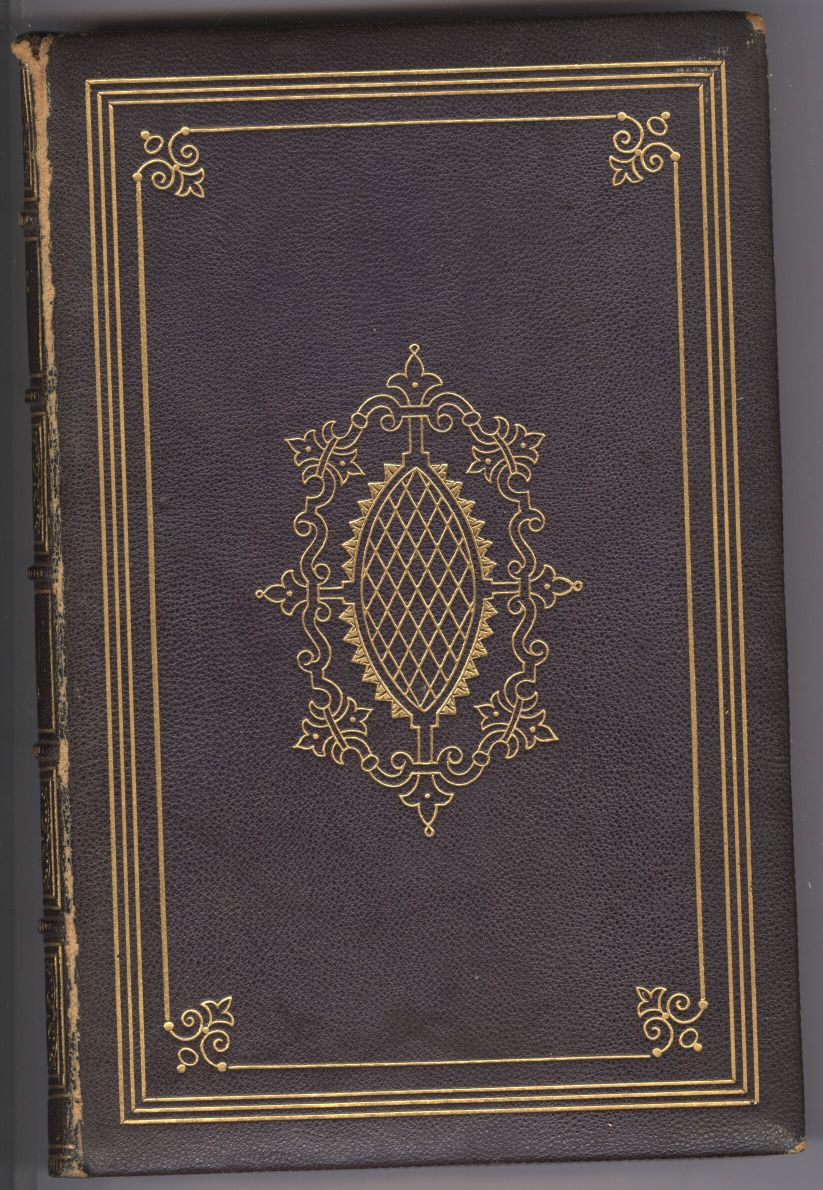IRVING image 3