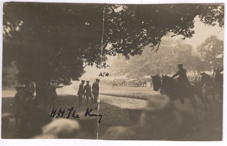 MARY image 3