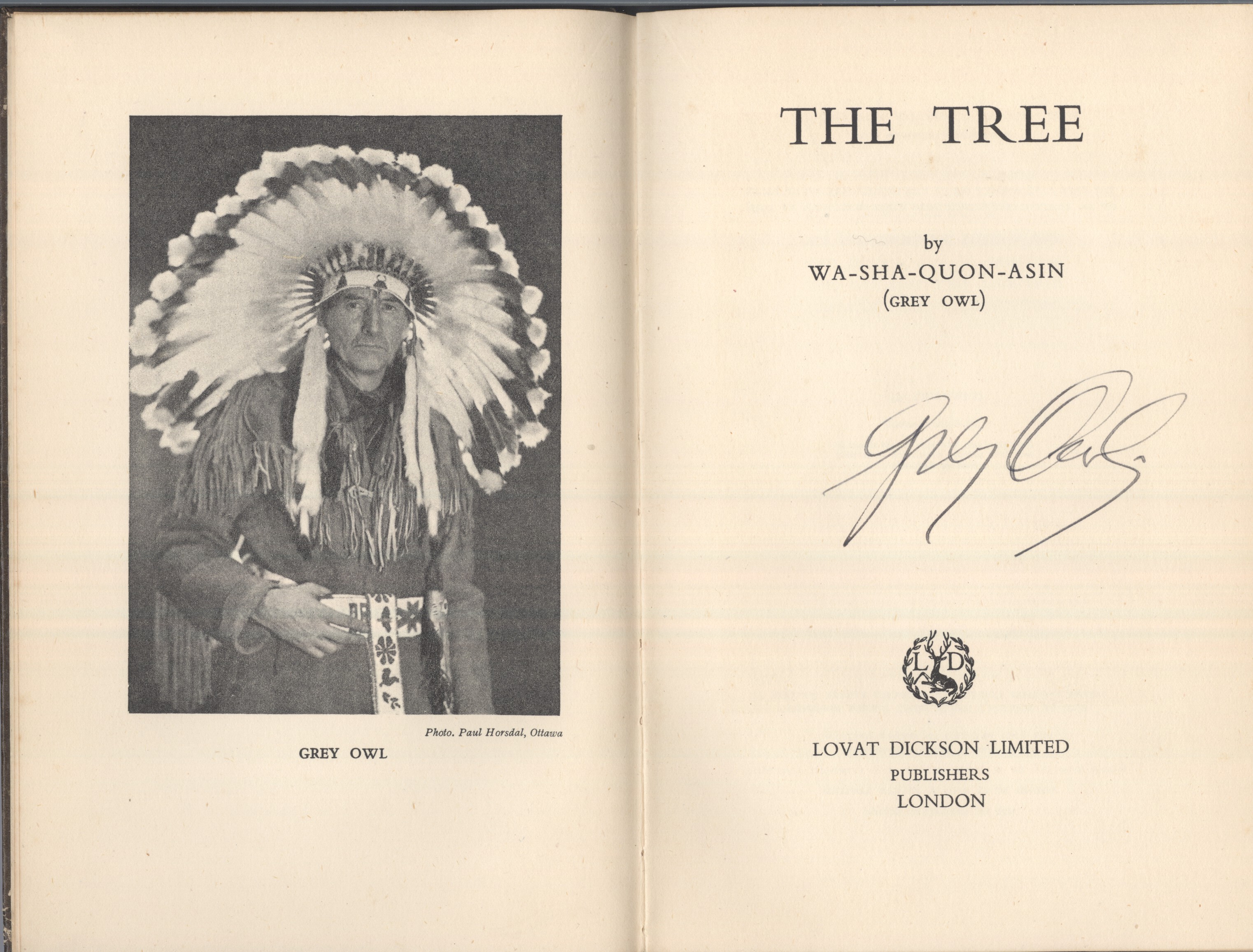 BELANEY image 2