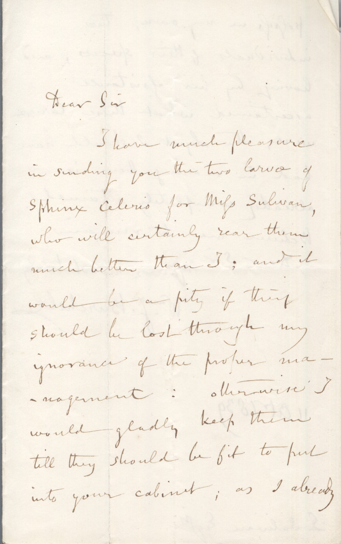 (Willilam John, 1781-1863, Explorer & Naturalist, Botanist at St Helena) — Sophie Dupré Autographs