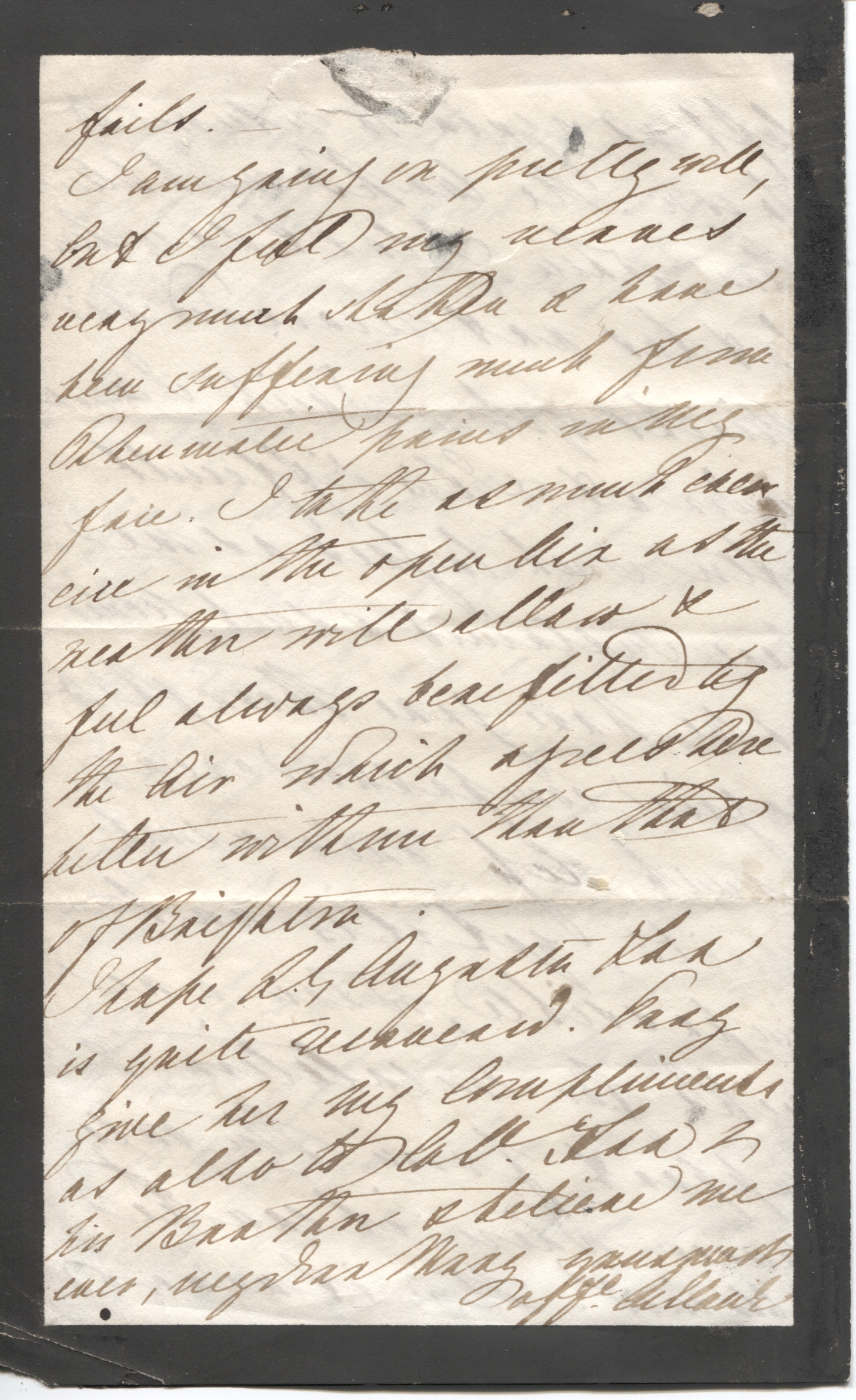 ADELAIDE image 2