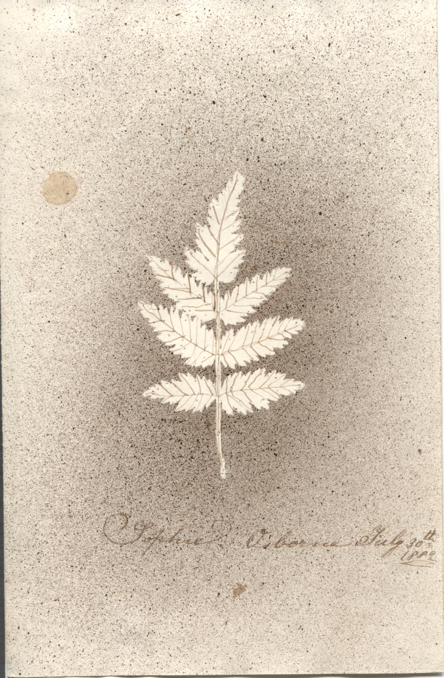 (Dorothea Ulrike Alice, 1870-1932, Princess of Prussia, daughter of Emperor Friedrich III, wife, 1889, of King Constantine I of Greece) — Sophie Dupré Autographs