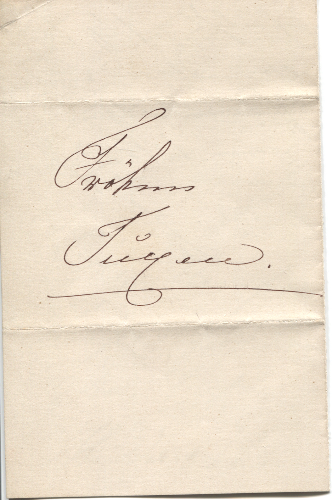 LOUISE image 2