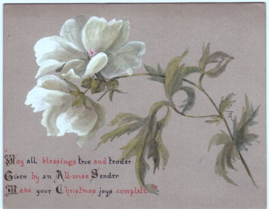 MARY ADELAIDE image 2