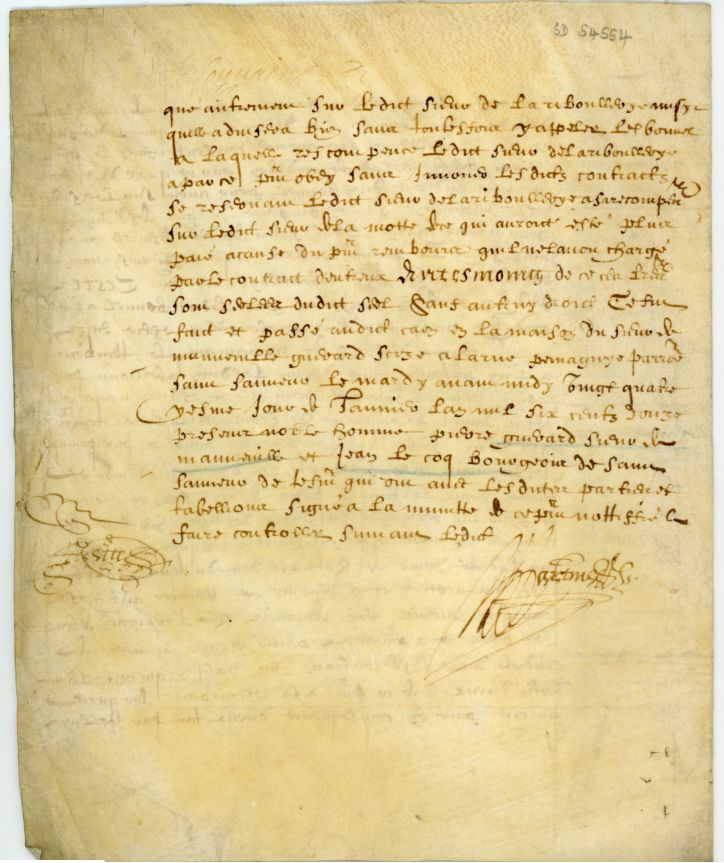 MARTIN image 3