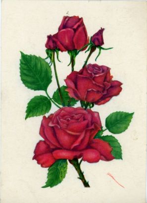 (Dilys, 1901-1995, Writer and Film Critic) — Sophie Dupré Autographs