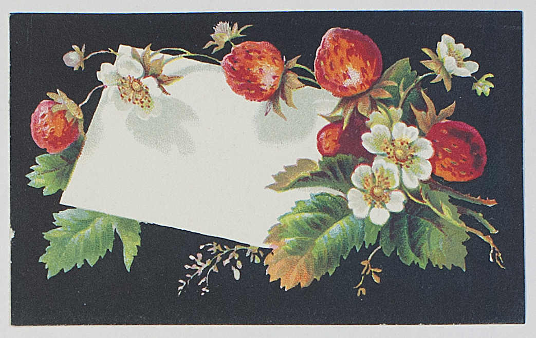 Beautifully printed label of a spray of Strawberries, — Sophie Dupré Autographs