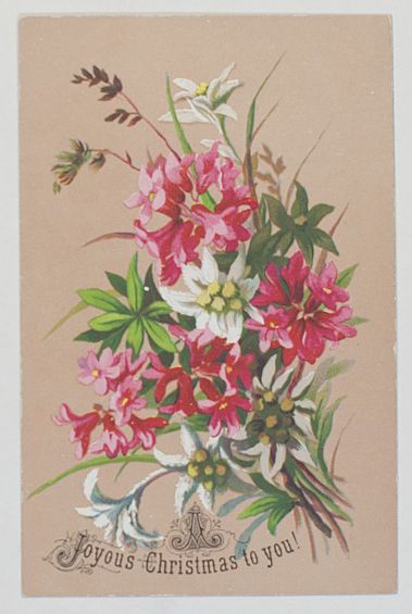 Card printed in full Colour, — Sophie Dupré Autographs