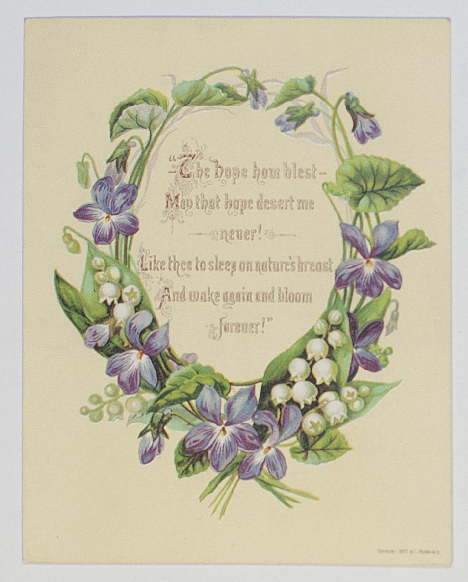 Card printed in full Colour — Sophie Dupré Autographs