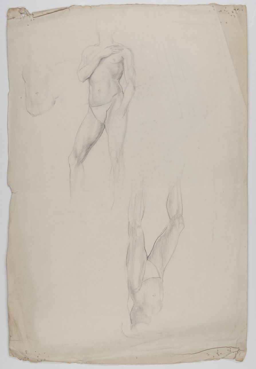 ALLEN image 2