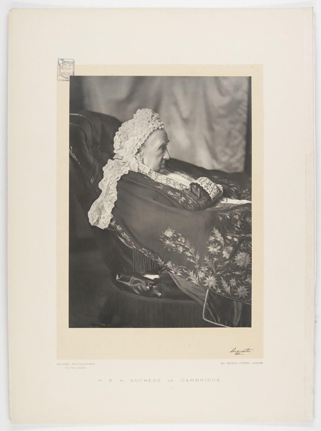[AUGUSTA image 3